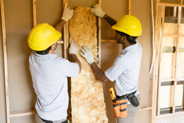 Best Wall Insulation Installation  in Oak Hill, WV